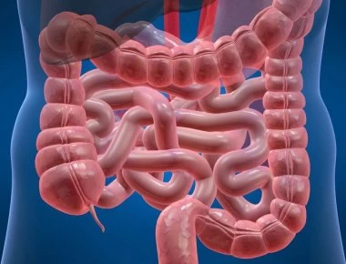 Καρκίνος Παχέος Εντέρου: Αυτός είναι ο μεγαλύτερος ένοχος για την πρόκλησή του